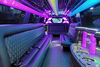 Newton Limo Interior