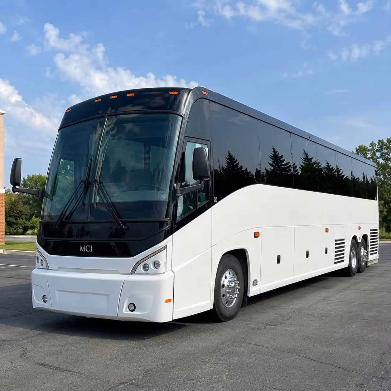 sports teams and fan groups from newton travel together with charterbusrentalnewtonma com